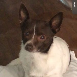 Meet your Posher, Brynn